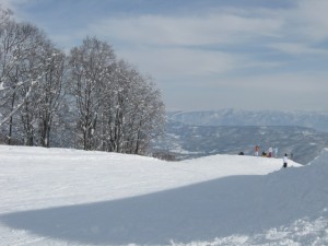 20100113-picstt 091