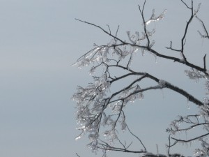 20100214-img_0368