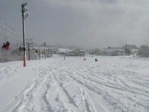 20101229-IMG_1312