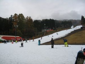 20081116-04_s