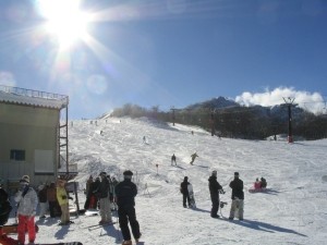 20081123-pics 009_s
