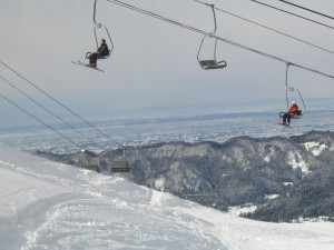 20090126-img_1803