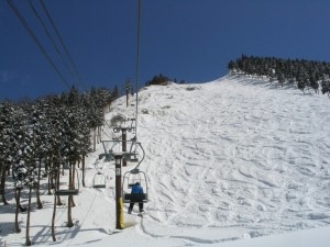 20090315-img_1811_s