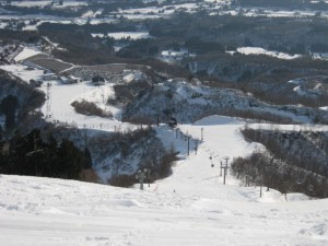 20091230-img_0274