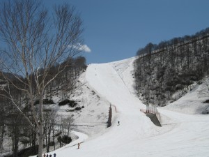 20100504-picstt8 078