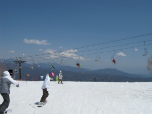 20100504-picstt8 080