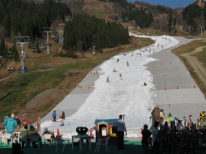 20101120-IMG_1267