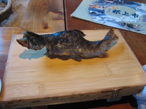 20101120-IMG_1269_1