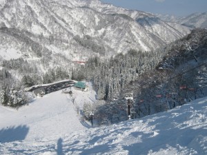 20120115-画像 0091