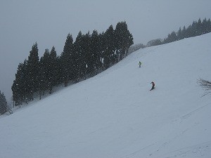 20120312-1203002