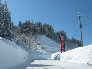 20120312-IMG_2251_s