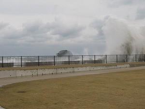 20121202-IMG_3266