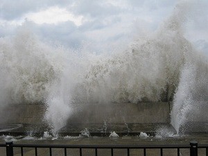 20121202-IMG_3271