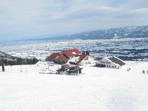 20130114-IMG_3363